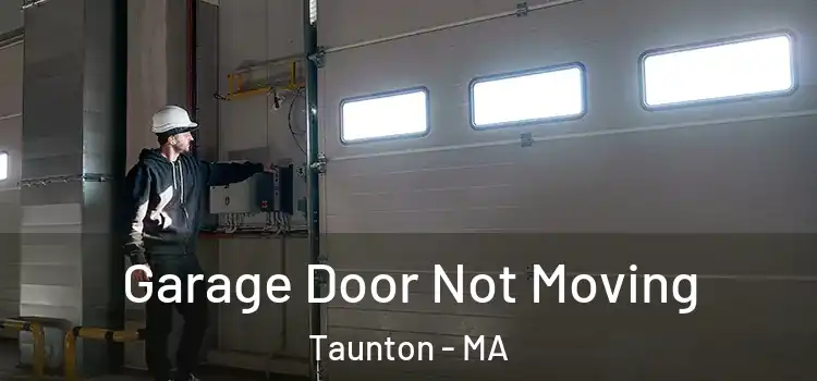  Garage Door Not Moving Taunton - MA